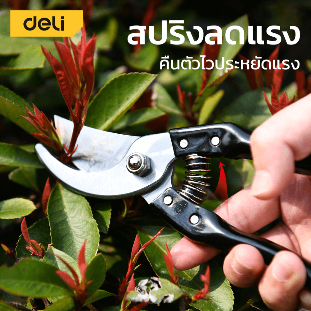 กรรไกรตัดกิ่ง DELI EDL580200-BK-01 8นิ้ว สีดำ_1